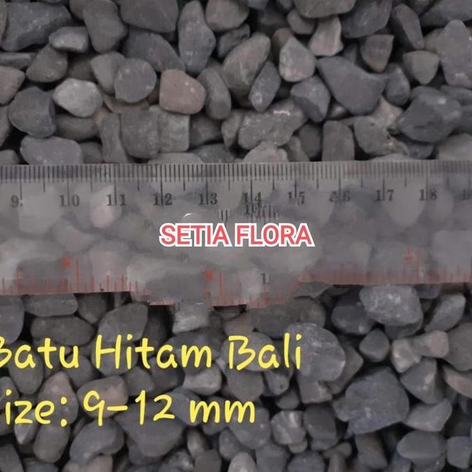 Batu Alam Hias Taman Tanaman/Hitam Bali Karungan