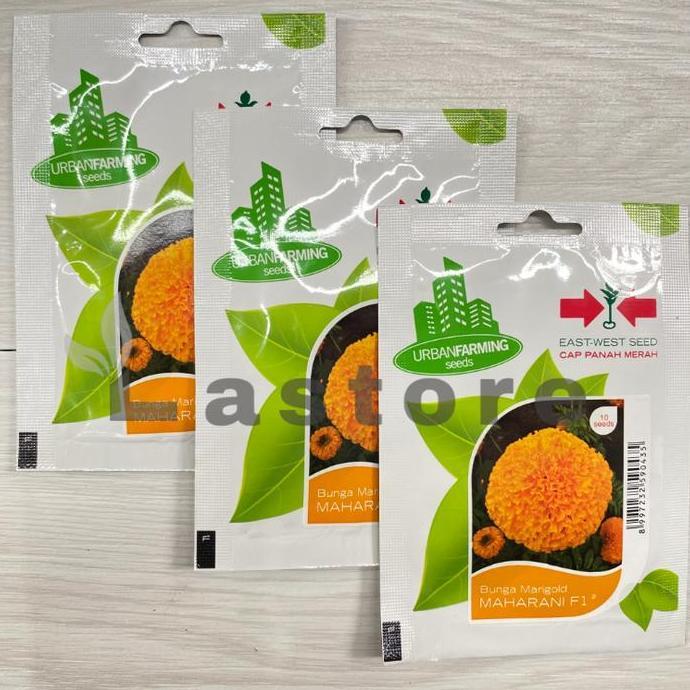 Benih Bunga Marigold MAHARANI F1 Isi 10 Butir Cap Panah Merah