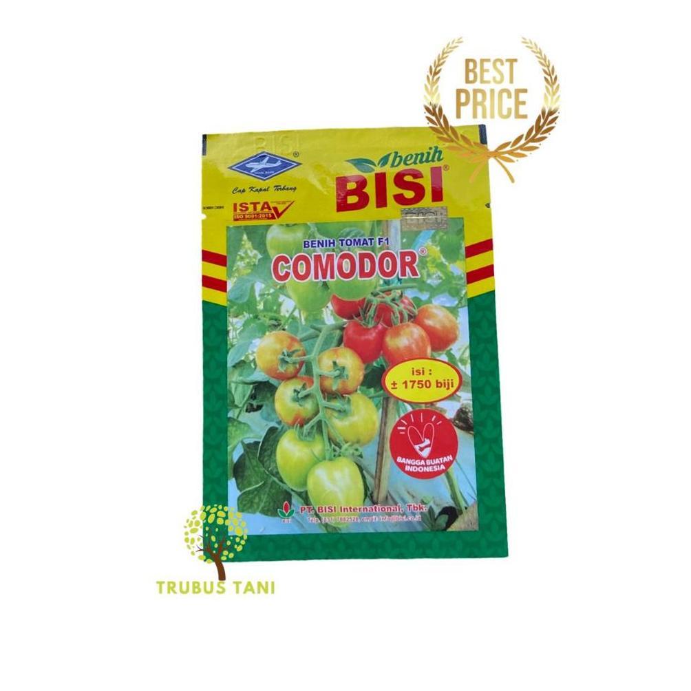 BENIH TOMAT HIBRIDA F1 COMODOR - Kemasan 5 gr