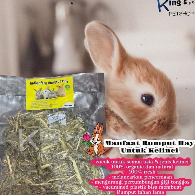 RUMPUT HAY/ INDIGOFERA HAY / MAKANAN KELINCI RUMPUT HAY