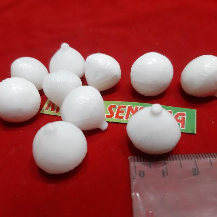 Batu Fosil Mustika Kelapa 10pcs