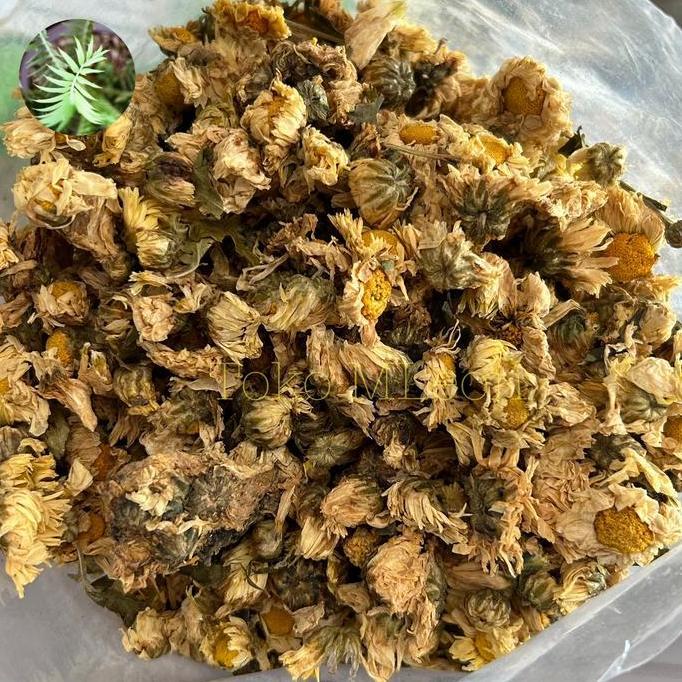 TERBARU - Chrysanthemum ju hua bahan liang teh 600 gram