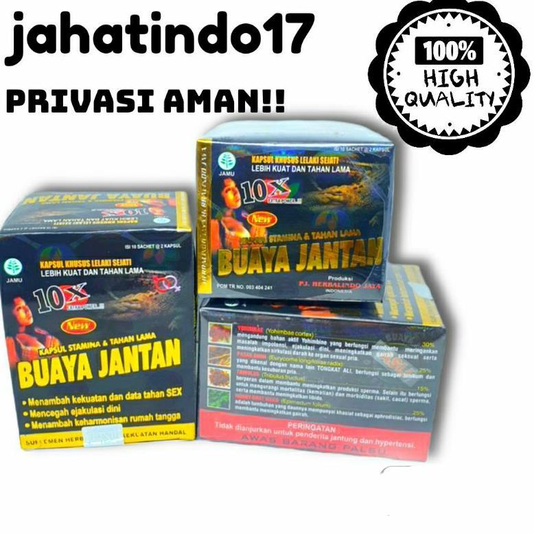 beruang buaya laki Best Quality