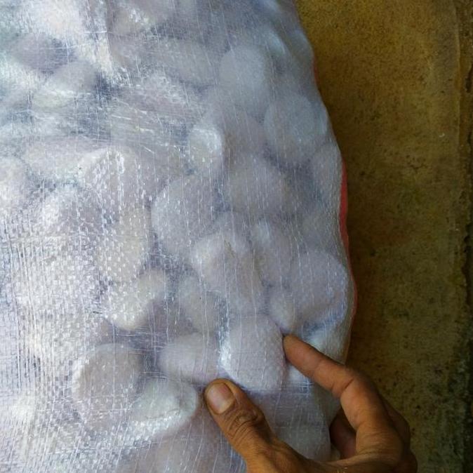 batu taman koral karung