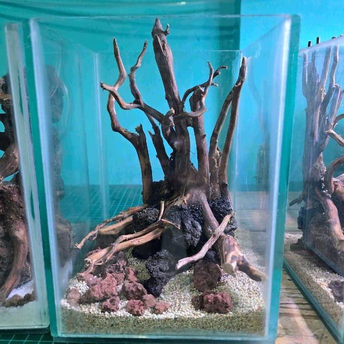 Aquarium aquascape mini cupang full set atau hardscape bisa pilih di varian, cocok untuk di kantor ,