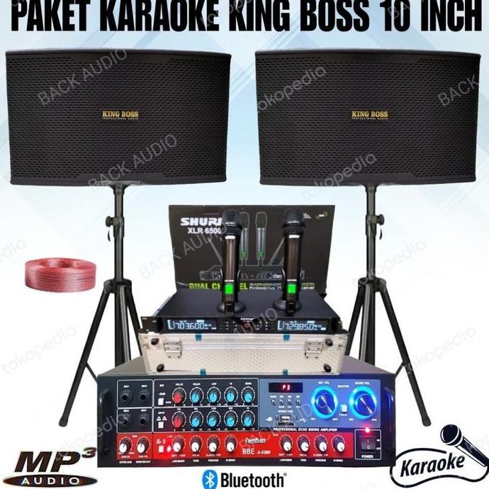 Bst Ready Paket Karaoke Rumahan 10 Inch + Mic Shure Paket Komplit Karaoke Top Best Seller