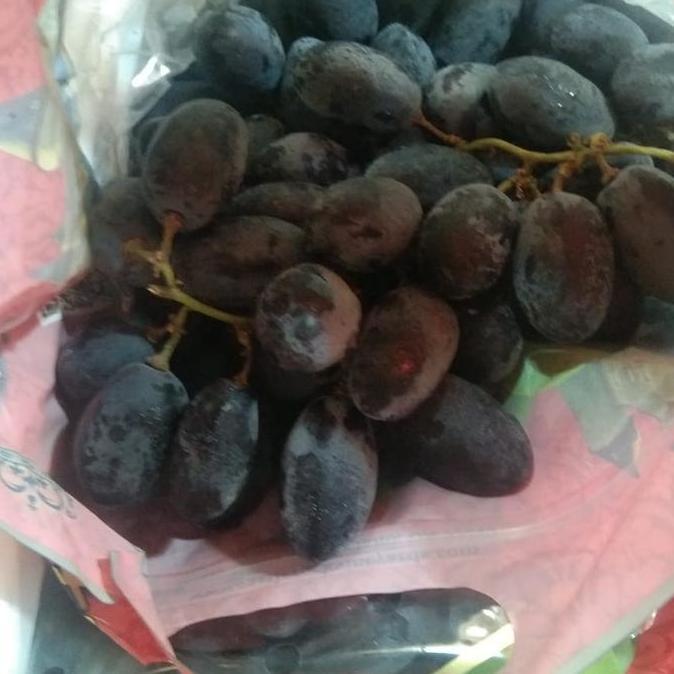 Frutting- Anggur Autumn Australia Manis/1Kg