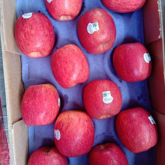 Frutting- Buah Apel Envy Premium | Apel Envy Garing Manis 1Kg