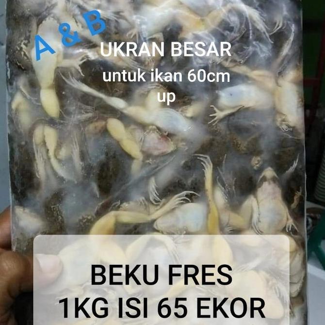Frutting- Kodok Beku-Katak Beku Fres Pakan Ikan Predator