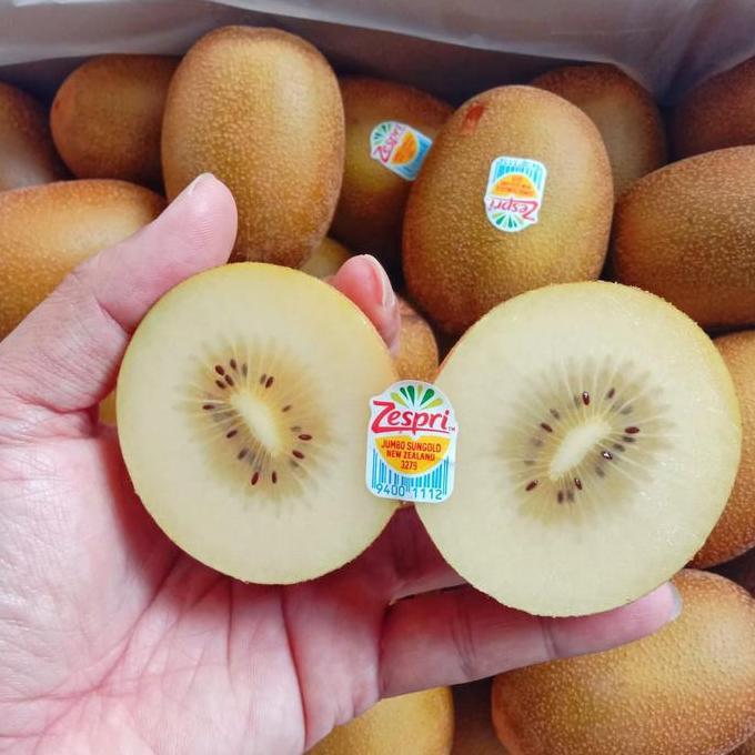 Frutting- Kiwi Gold | Kiwi Gold Jumbo | Kiwi New Zealand - 1Kg