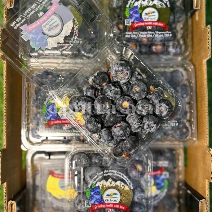 Frutting- Blueberry Import/Fresh Blueberry