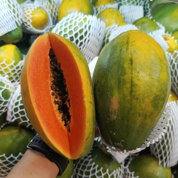 Frutting- Buah Pepaya Hawai | Pepaya Hawai Madu
