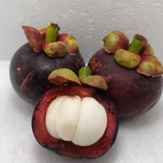 Frutting- Buah Manggis Padang Manis Fresh Mangosteen