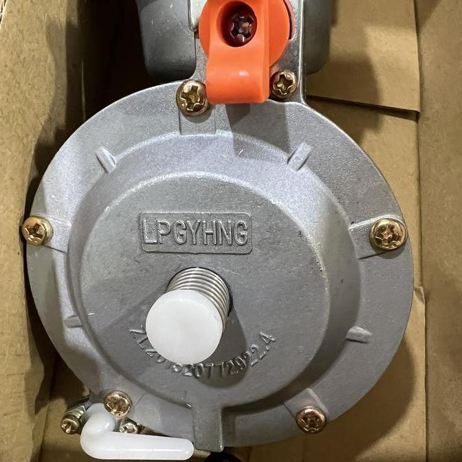 Karburator Carburetor Gas LPG GX 160 2500/ Car Converter LPG 2,5kw