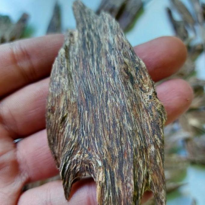 Kayu gaharu super asli alami kalimantan utara