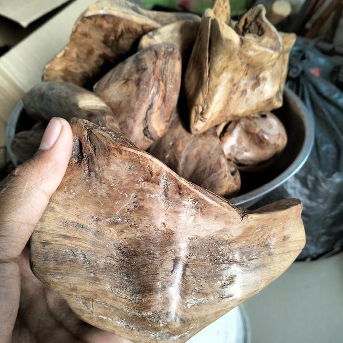 kayu fosilan gaharu super berkualitas