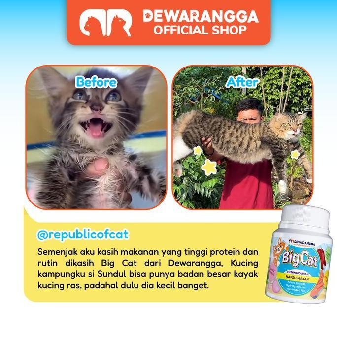 Catbull- Big Cat - Vitamin Nafsu Makan & Gemukin - Dewarangga