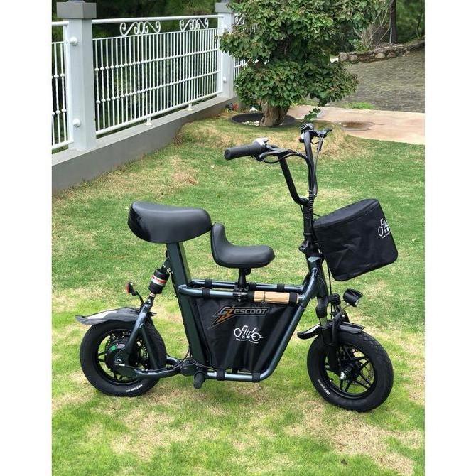 Terlaris Sepeda Listrik Fiido Q1S Grey - Limited Edition
