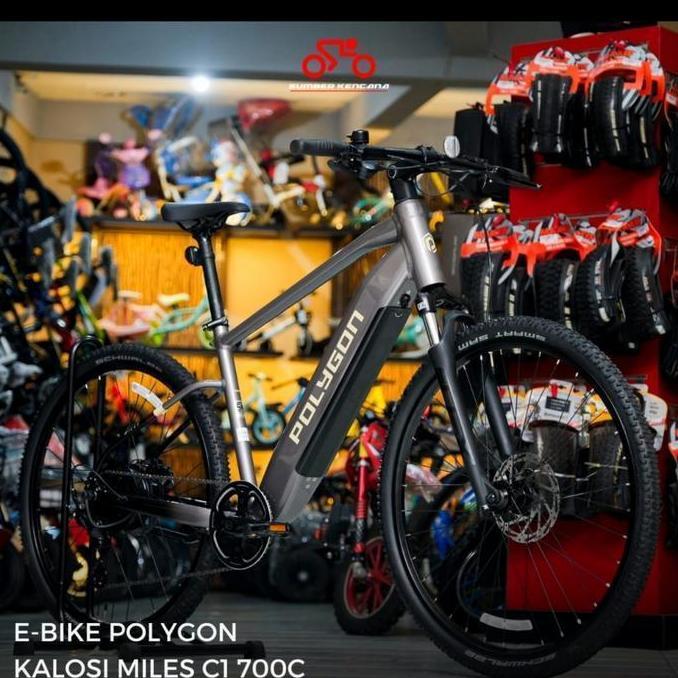 Terlaris Sepeda Gunung Mtb Elektrik Listrik Polygon Kalosi Miles - Kalosi Hs - Kalosi Hs - Kalosi Hs