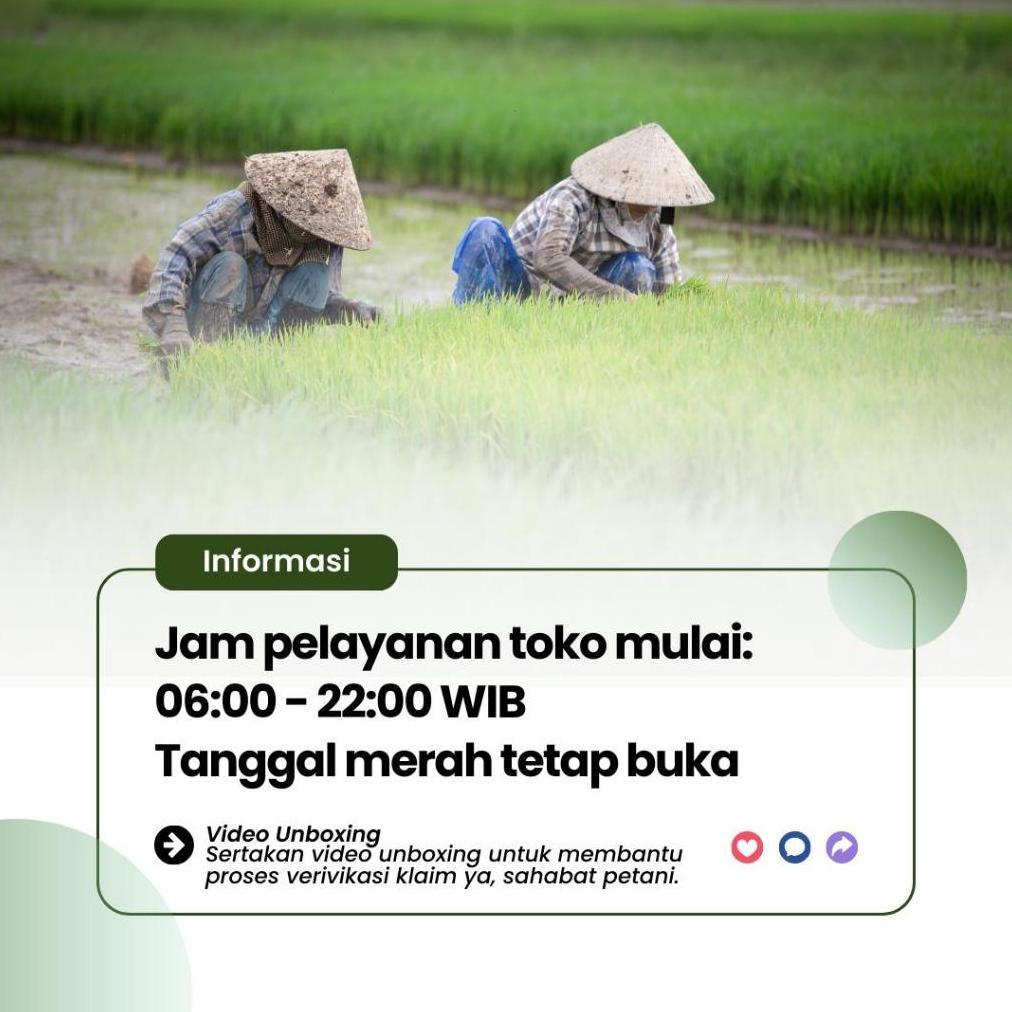 Bisa Cod Jaring Ayam 3 Meter / Jaring Kandang Ayam / Jaring Kebun / Jaring Serbaguna ><