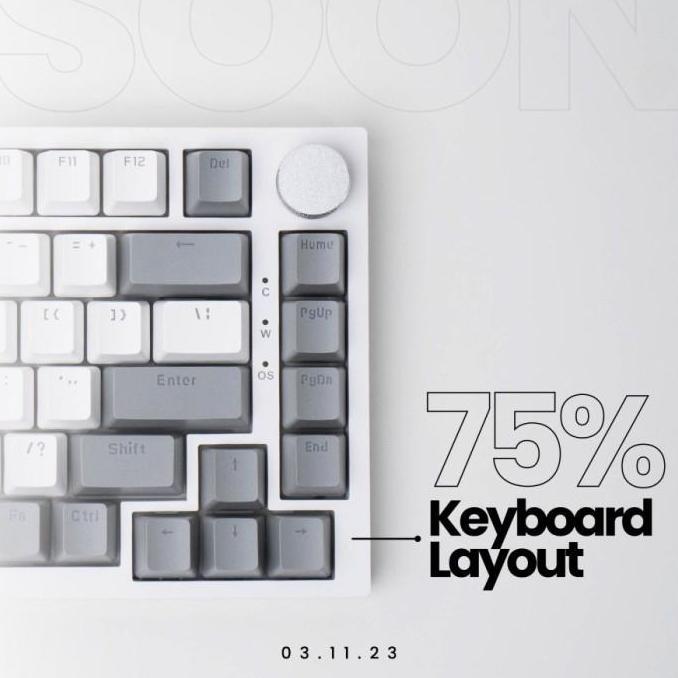 DS366 - Ajazz AK820 Dual Tone 75% Gasket Mount Mechanical Gaming Keyboard