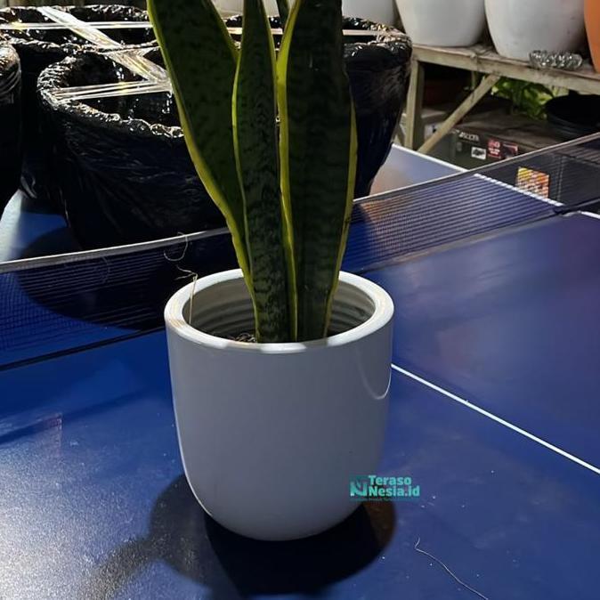 Pot Gerabah Mini / Pot Keramik Putih Glossy HI