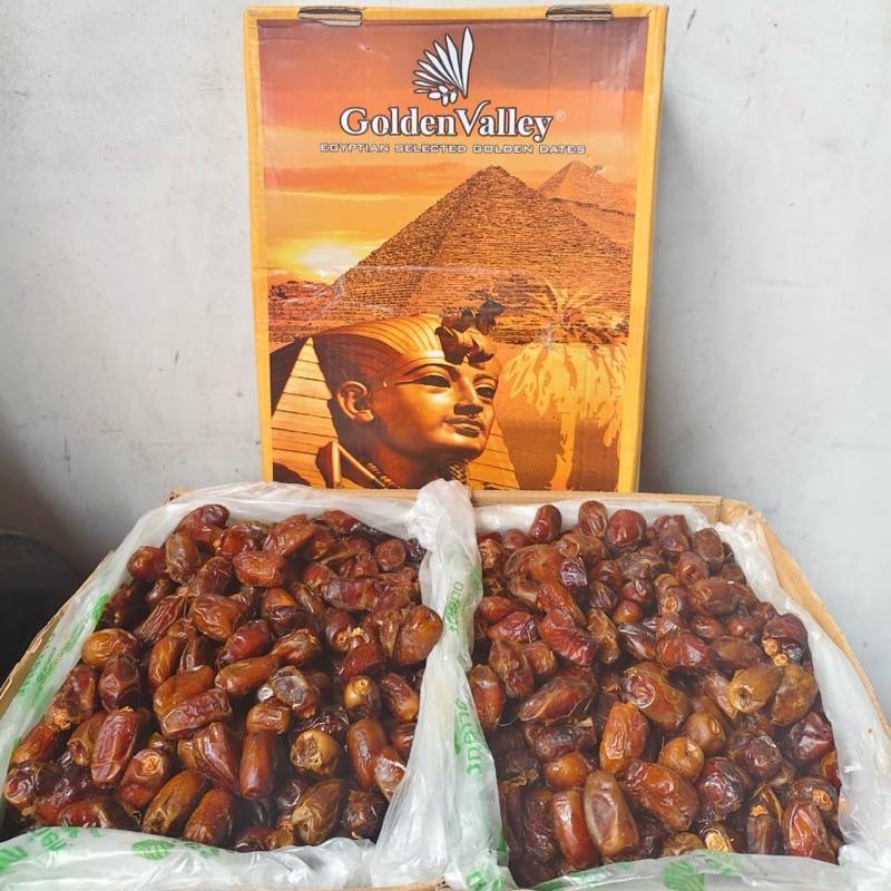 ( Dus ) Kurma Golden Valley 10 Kg Kurma Mesir Premium Sukari 3 Kg Produksi Terbaru Kurma Dos Barari 