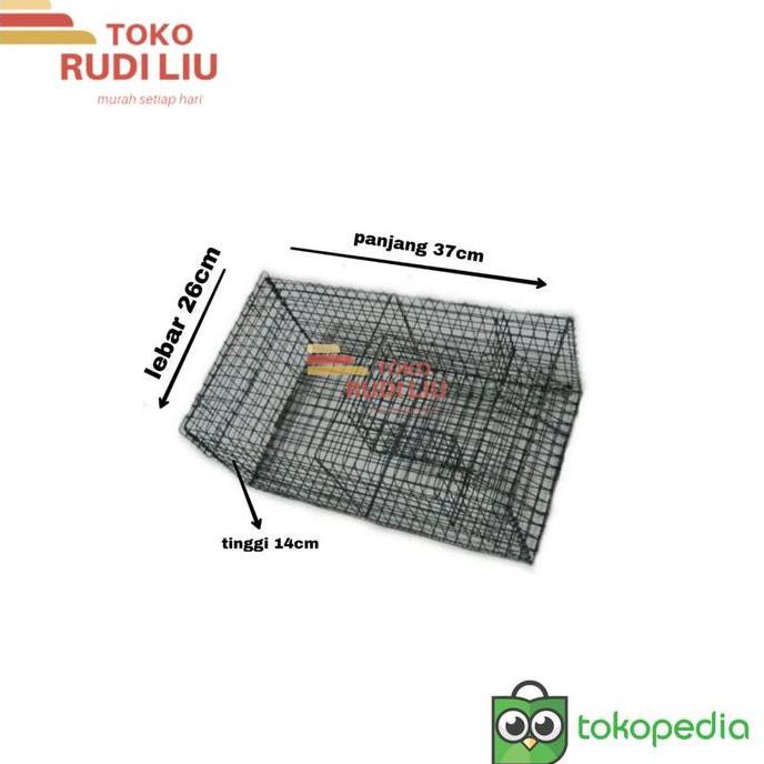 Lansungkirim- Perangkap Tikus Massal Jebakan Tikus Massal Perangkap Tikus Jumbo