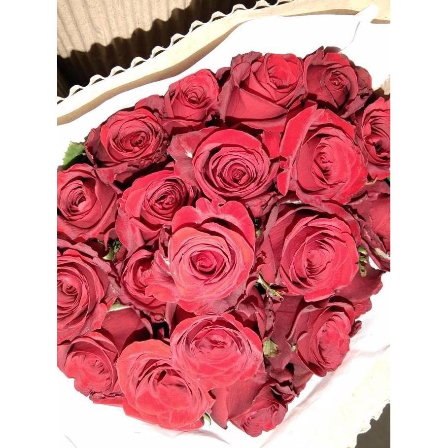 Lansungkirim- Bunga Mawar Semi Holland / Bunga Mawar Bandung