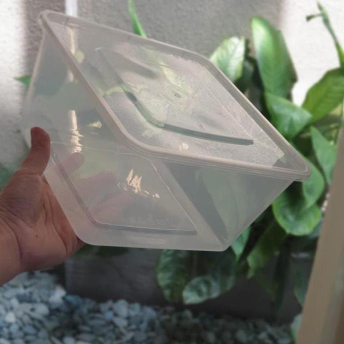 Thinwall Square 3000ml / Thinwall Kotak 3000ml. Isi 25pcs