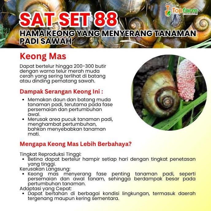 Bekor.Sahdiyah - Hama Keong Racun / Semprot Hama Keong / Hama Keong Sawah / Pestisida Topfarm / Pemb