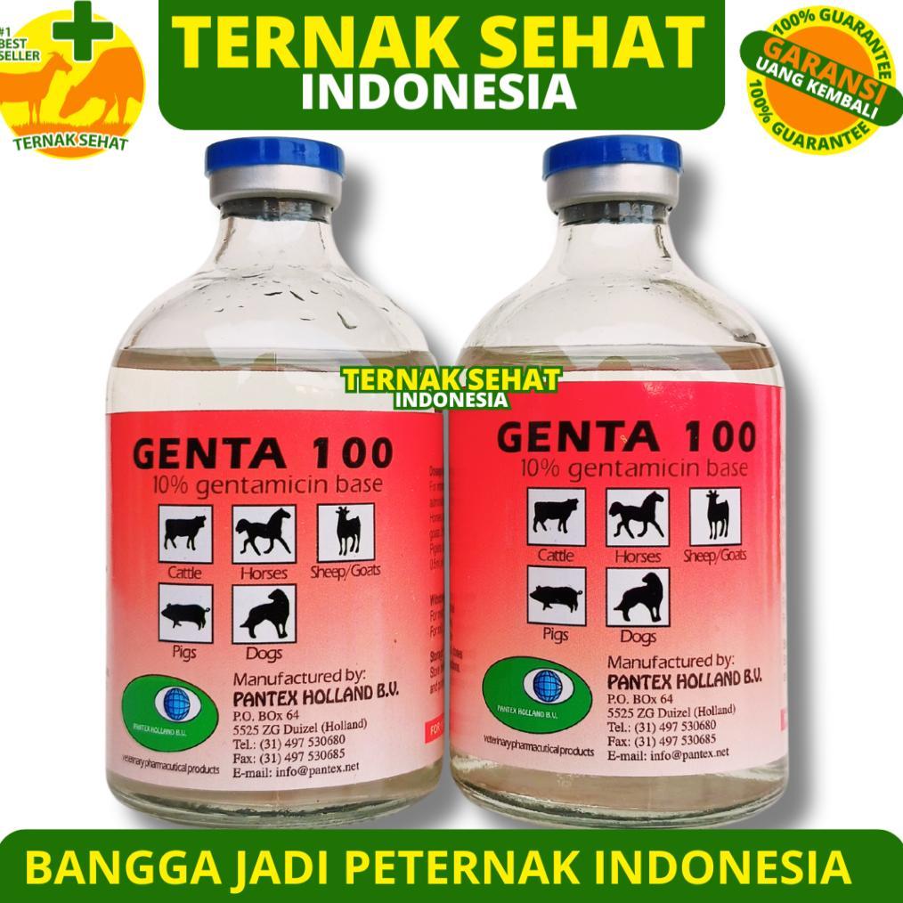 GENTA-100 100ML PANTEX HOLLAND - Obat Antibiotik Hewan SEPERTI GENTAJECT INTERFLOX 100