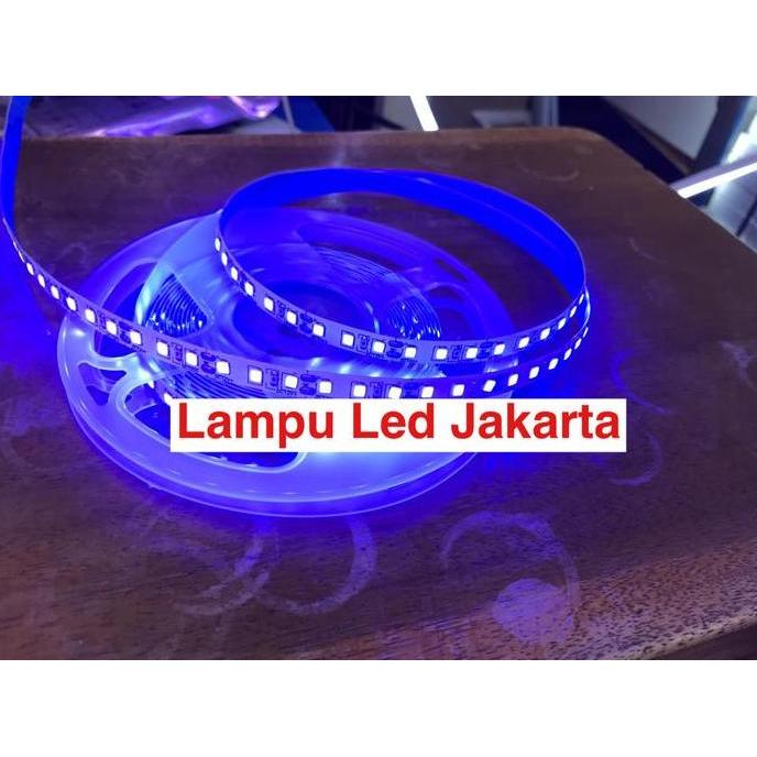 Lampu LED strip 120mata 12v biru /5meter original