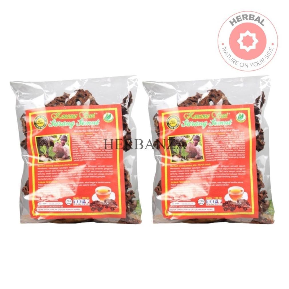 2 PCS Kencono Sari Sarang Semut Curah Sarang Semut Papua Asli Alami BPOM