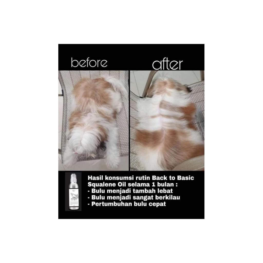 Vitafix- Back To Basic New Zealand Squalene Oil Minyak Hati Ikan Hiu