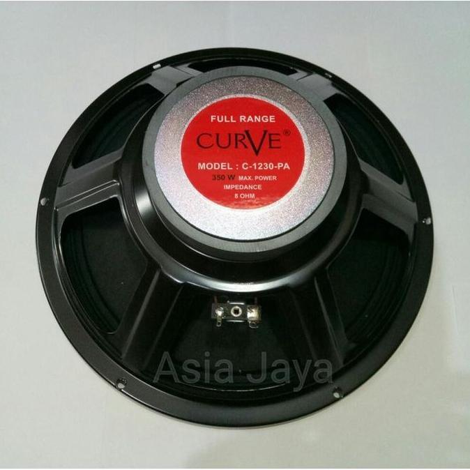 Speaker Curve 12 Inch Full Range C-1230-PA