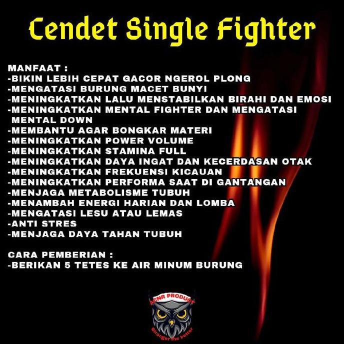 Bridwoi- Vitamin Penggacor Cendet Cendet Single Fighter Vitamin Burung Cendet Penggacor Pentet
