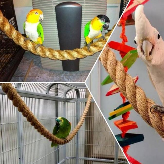Bridwoi- Mainan Ayunan Tali Serat Natural Burung Parrot Falk Sunconure Lovebird