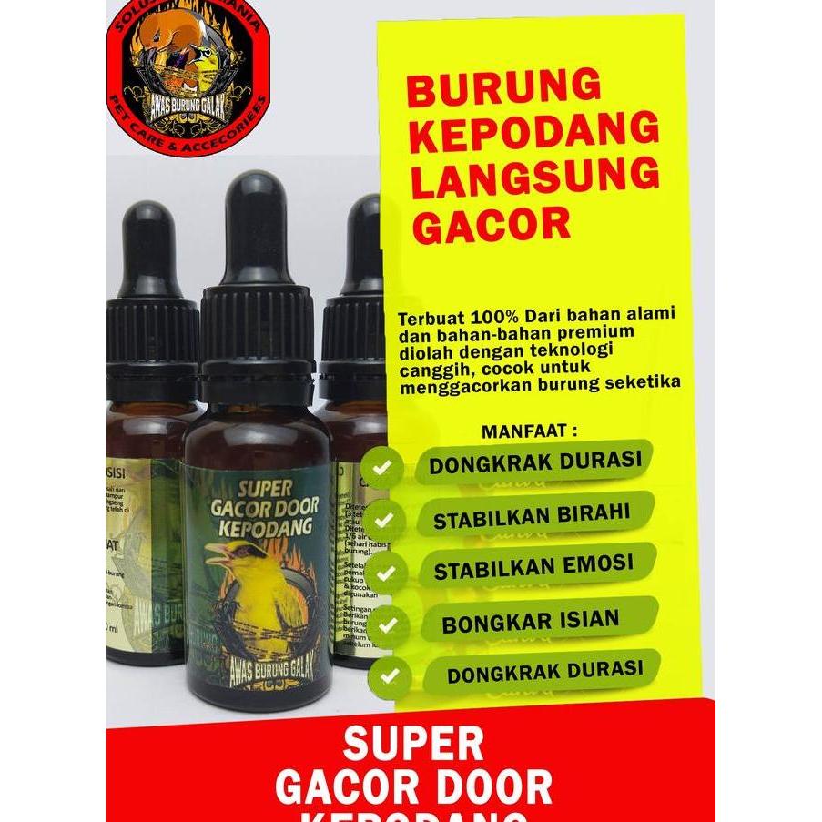Bridwoi- Super Gacor Door Kepodang Penggacor Seketika