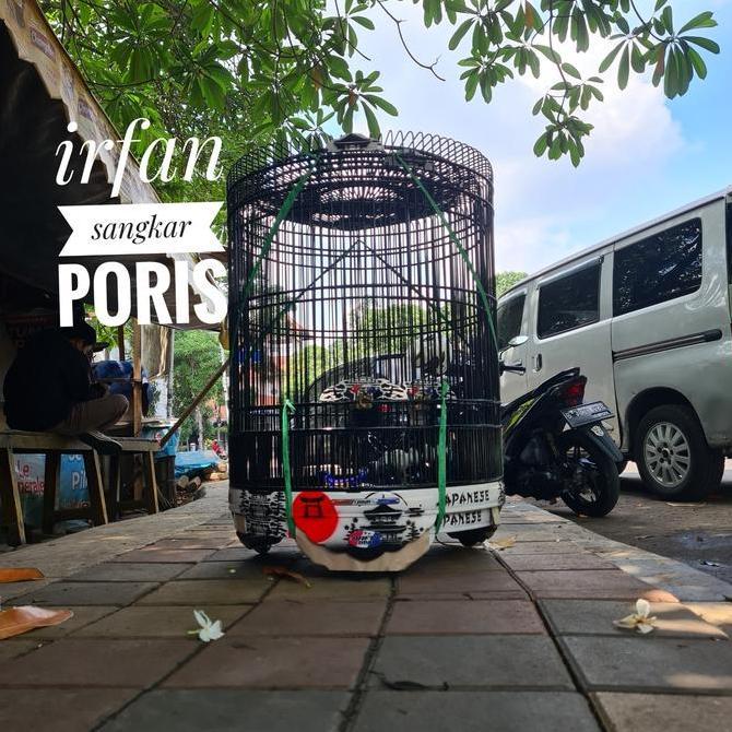 Bridwoi- Rafi Jaya Dekal No3