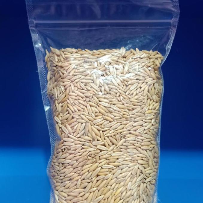 Bridwoi- Haver Seed Kulit 500Gr - Pakan Burung Kenari Lovebird Sunconure Afgrey