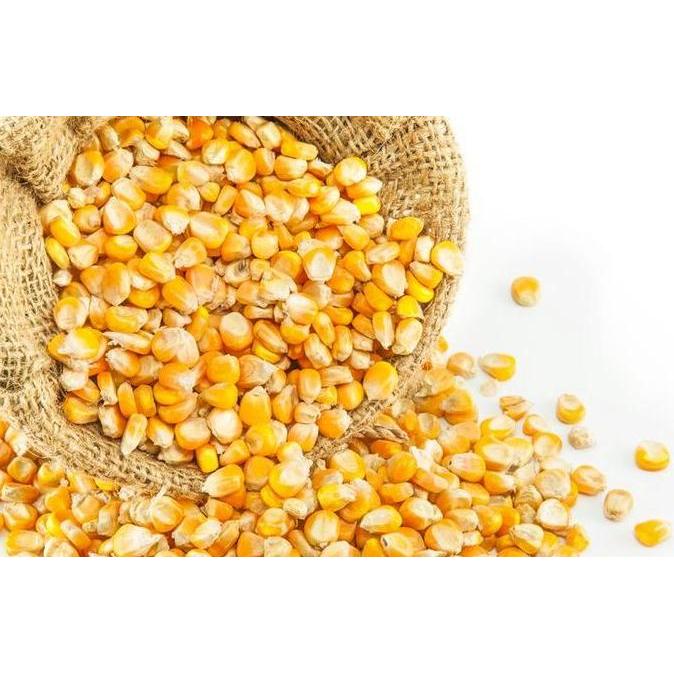 *#*#*#] Jagung Popcorn 1kg