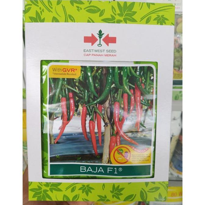 Benih Cabai Besar BAJA F1 1500 Biji - Bibit Cabe Cap Panah Merah