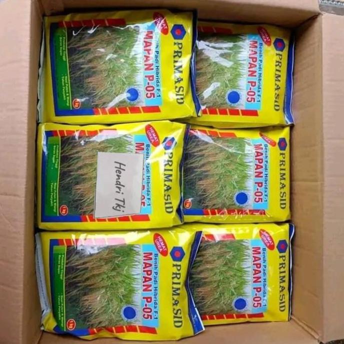 benih padi mapan 05