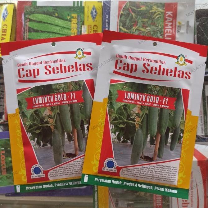Benih Timun Lumintu Gold F1 20 Gram