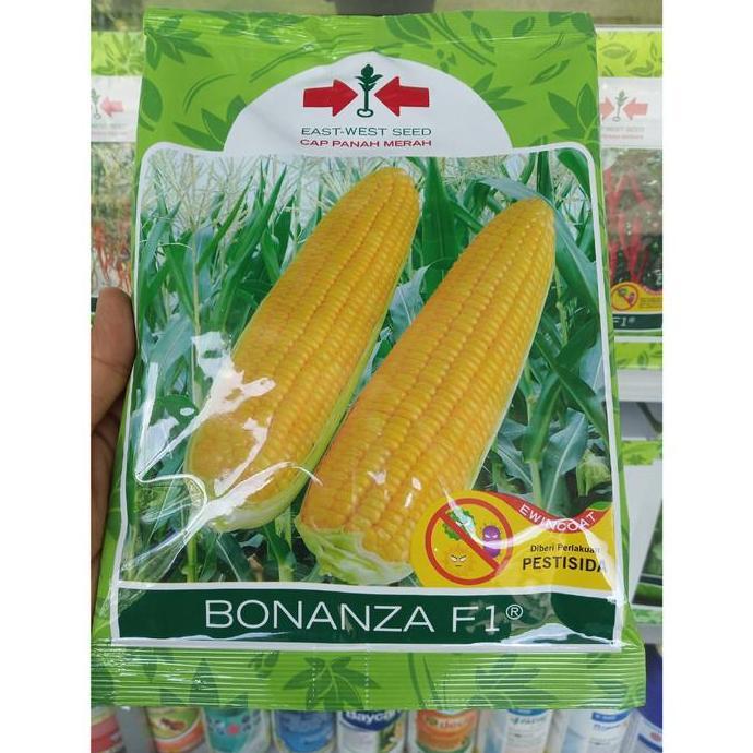 Benih Jagung Manis BONANZA F1 1800 Biji - Bibit Cap Panah Merah