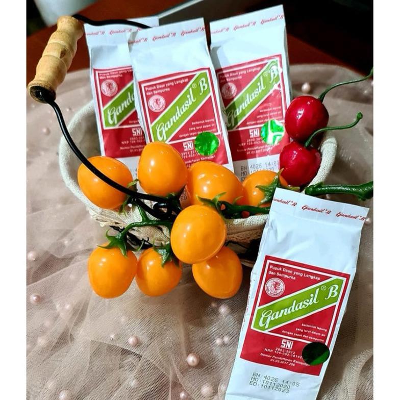 Bisa Cod Gandasil B Dan D Kemasan 100Gram 500Gram Pupuk Tanaman Daun Dan Buah ><