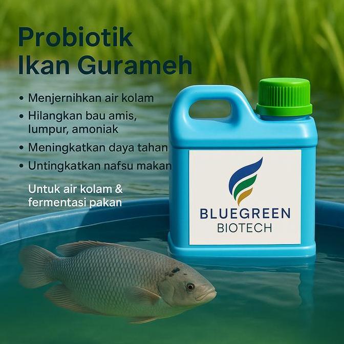 HARGA DISC - Probiotik Ikan Gurameh untuk Air Kolam dan Fermentasi Pakan