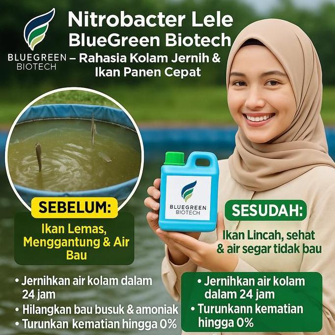 NEW Bluegreen Biotech Nitrobacter Ikan Lele Budidaya Ikan Lele & Perikanan Menjernihkan Air & Mening