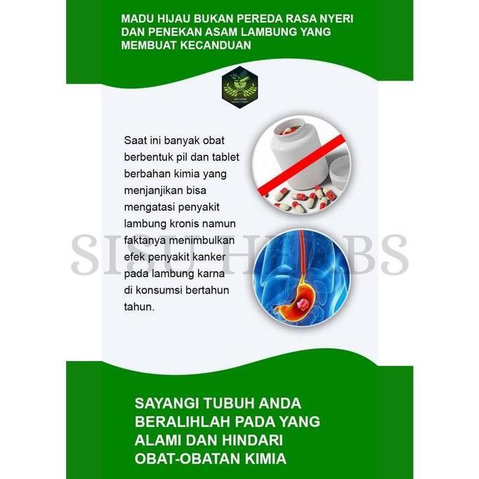 MADU HIJAU Original Logo M Maag Kronis Asam Lambung Gerd Mual Kembung luka Dinding Lambung PRAM